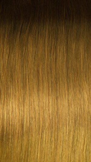 Black Diamond 7 Piece Clip-Ins Color T4/30/27