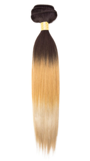 Private Reserve Machine Tied Weft Silky Straight Color T2/BL22