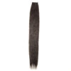 Black Diamond Tape-ins Silky Straight Color H14/BL22